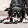 LINE CHEEKY | Enkel og praktisk line i let materiale |  GENTLE PUP - Image 2