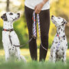 LINE CHEEKY | Enkel og praktisk line i let materiale |  GENTLE PUP - Image 3
