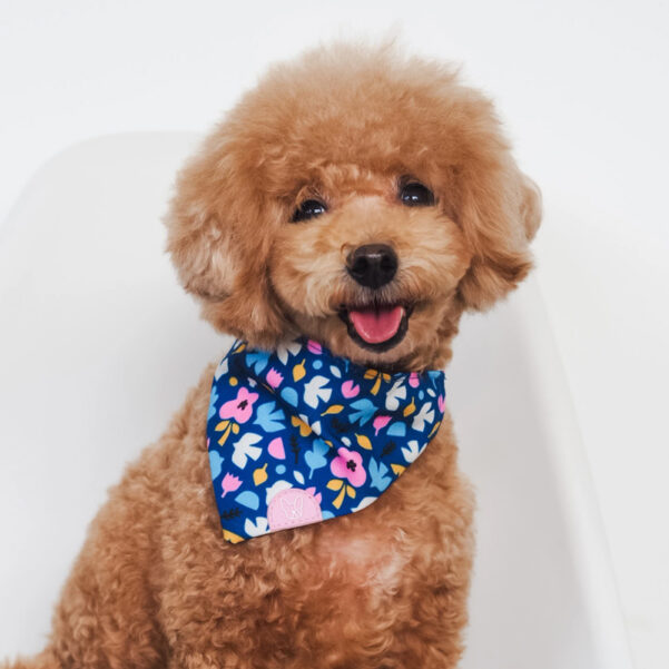 BANDANA FOREST JOY | Til hund og kat - Image 2