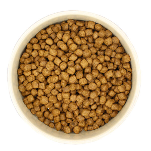 BEG BUDDY premium hundefoder | Insektbaseret hundemad til voksne hunde - Image 2