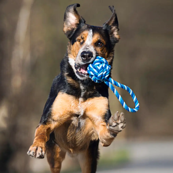 LABONI | Reblegetøj til mellemstore hunde SLINGBALL MAXI - Image 4