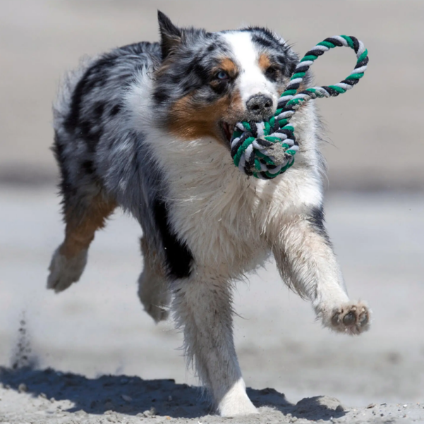 LABONI | Reblegetøj til store hunde SLINGBALL MEGA - Image 3