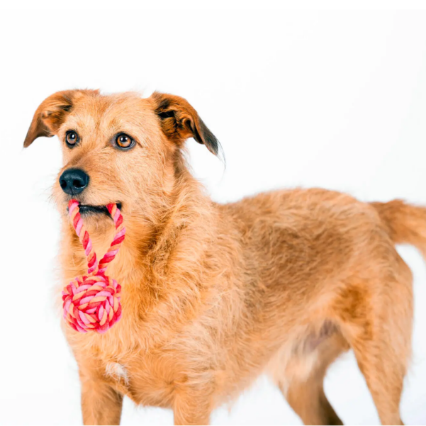 LABONI | Reblegetøj til mellemstore hunde SLINGBALL MAXI - Image 3