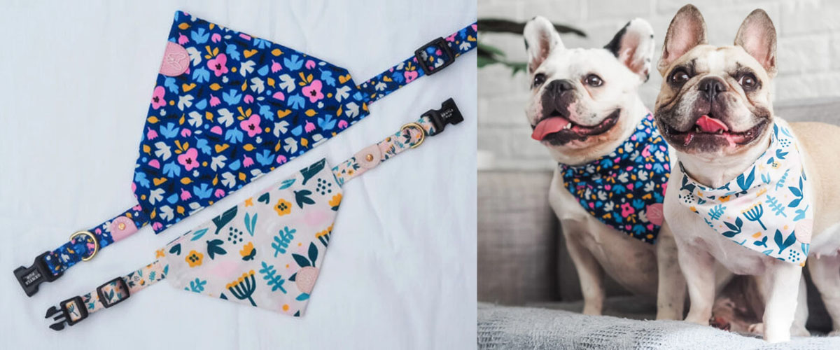 Foder og tilbehør til hund
